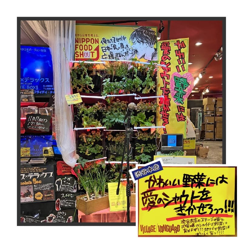 original_uriba_shibuya__3.jpg
